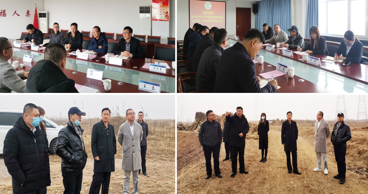 青岛市乡村产业发展促进会窦典梓会长一行应邀来足球365调研 青岛市乡村产业发展促进会窦典梓会长一行应邀来足球365调研