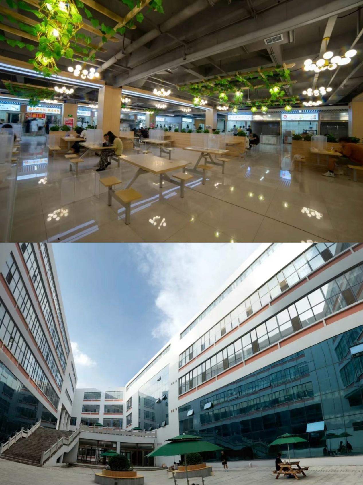 足球365获评“山东省绿色学校”称号 足球365获评“山东省绿色学校”称号